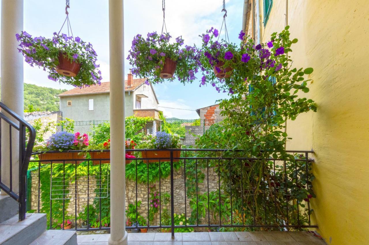 Apartment Nino سكرادين المظهر الخارجي الصورة